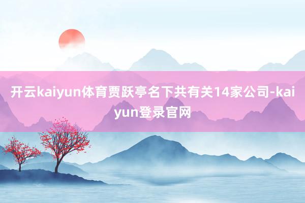 开云kaiyun体育贾跃亭名下共有关14家公司-kaiyun登录官网