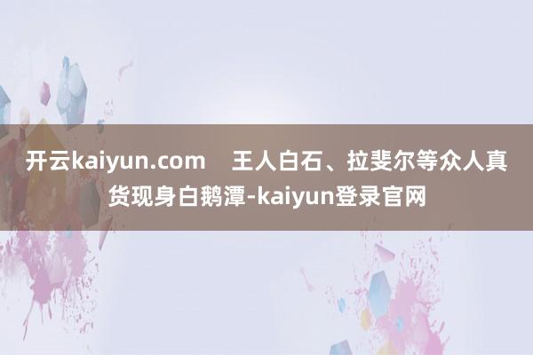开云kaiyun.com    王人白石、拉斐尔等众人真货现身白鹅潭-kaiyun登录官网