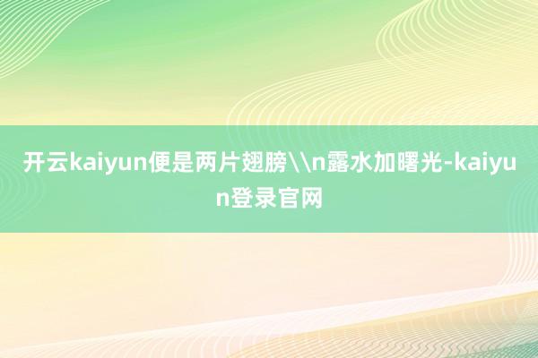 开云kaiyun便是两片翅膀\n露水加曙光-kaiyun登录官网