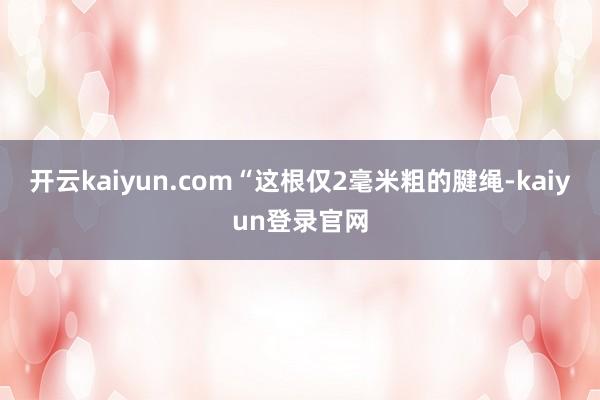 开云kaiyun.com“这根仅2毫米粗的腱绳-kaiyun登录官网