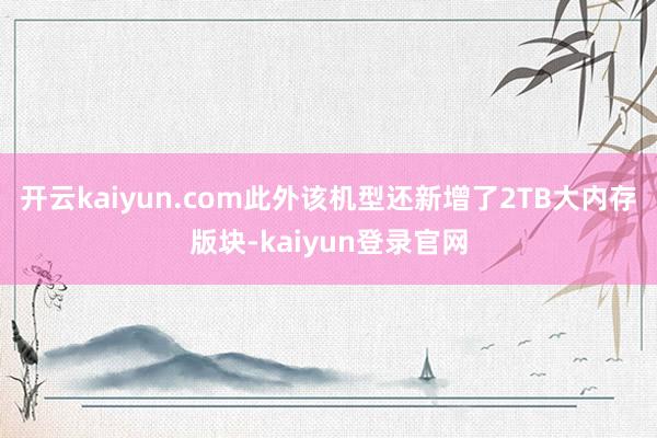 开云kaiyun.com此外该机型还新增了2TB大内存版块-kaiyun登录官网