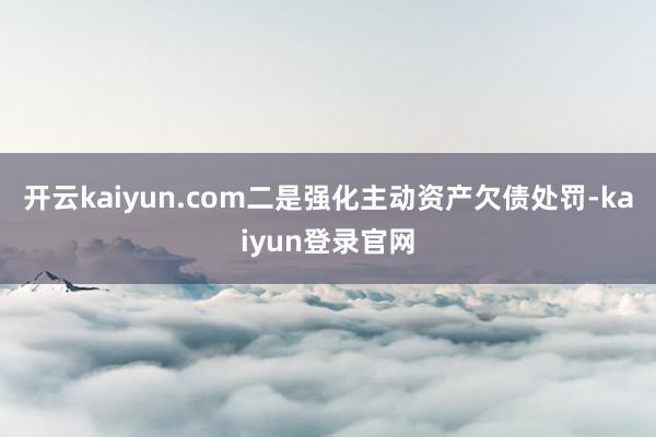 开云kaiyun.com二是强化主动资产欠债处罚-kaiyun登录官网