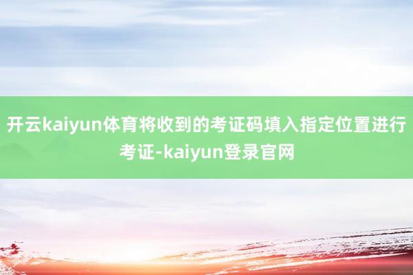 开云kaiyun体育将收到的考证码填入指定位置进行考证-kaiyun登录官网